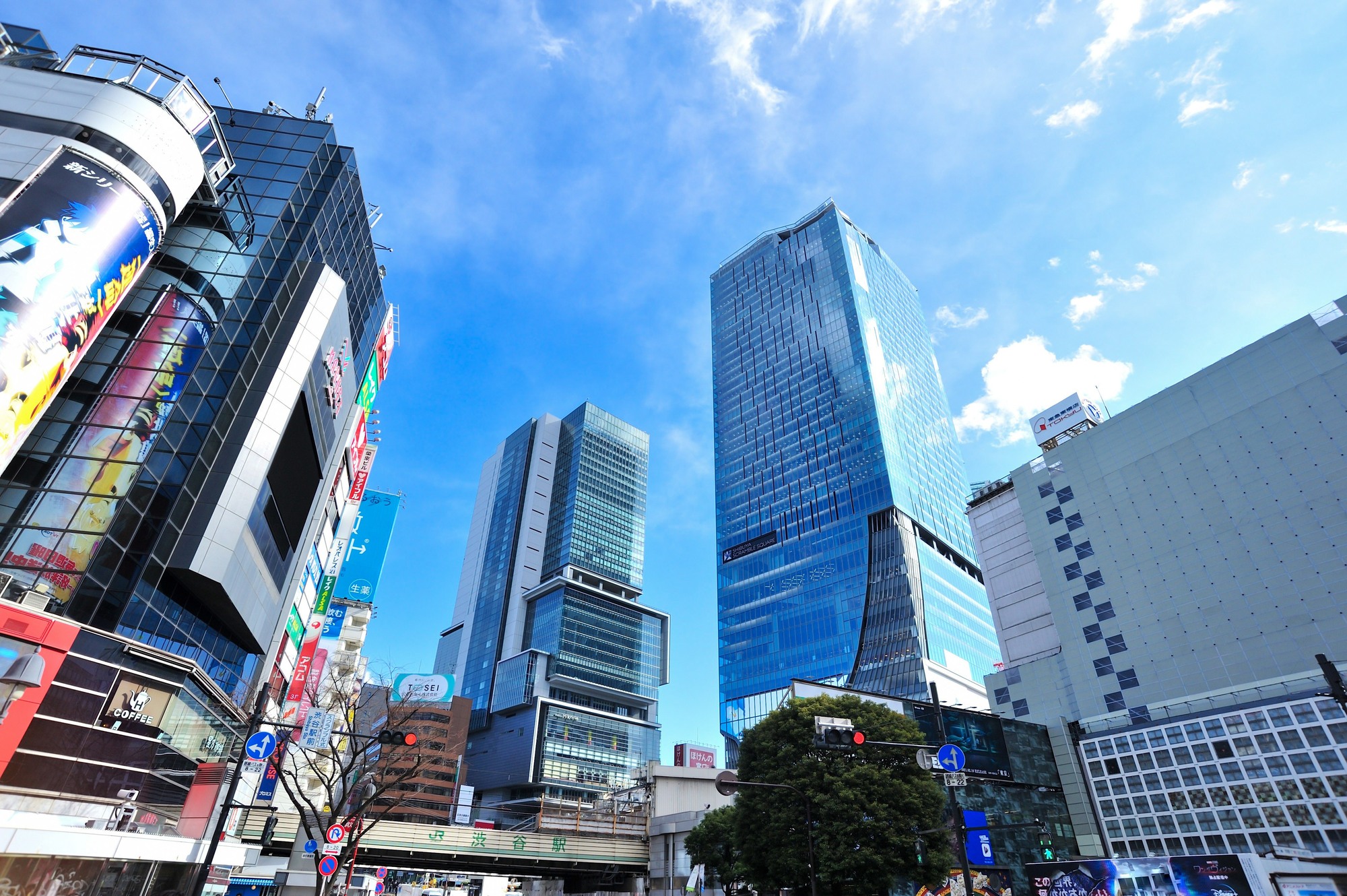 アットホーム】渋谷区 南平台町 （渋谷駅 ）