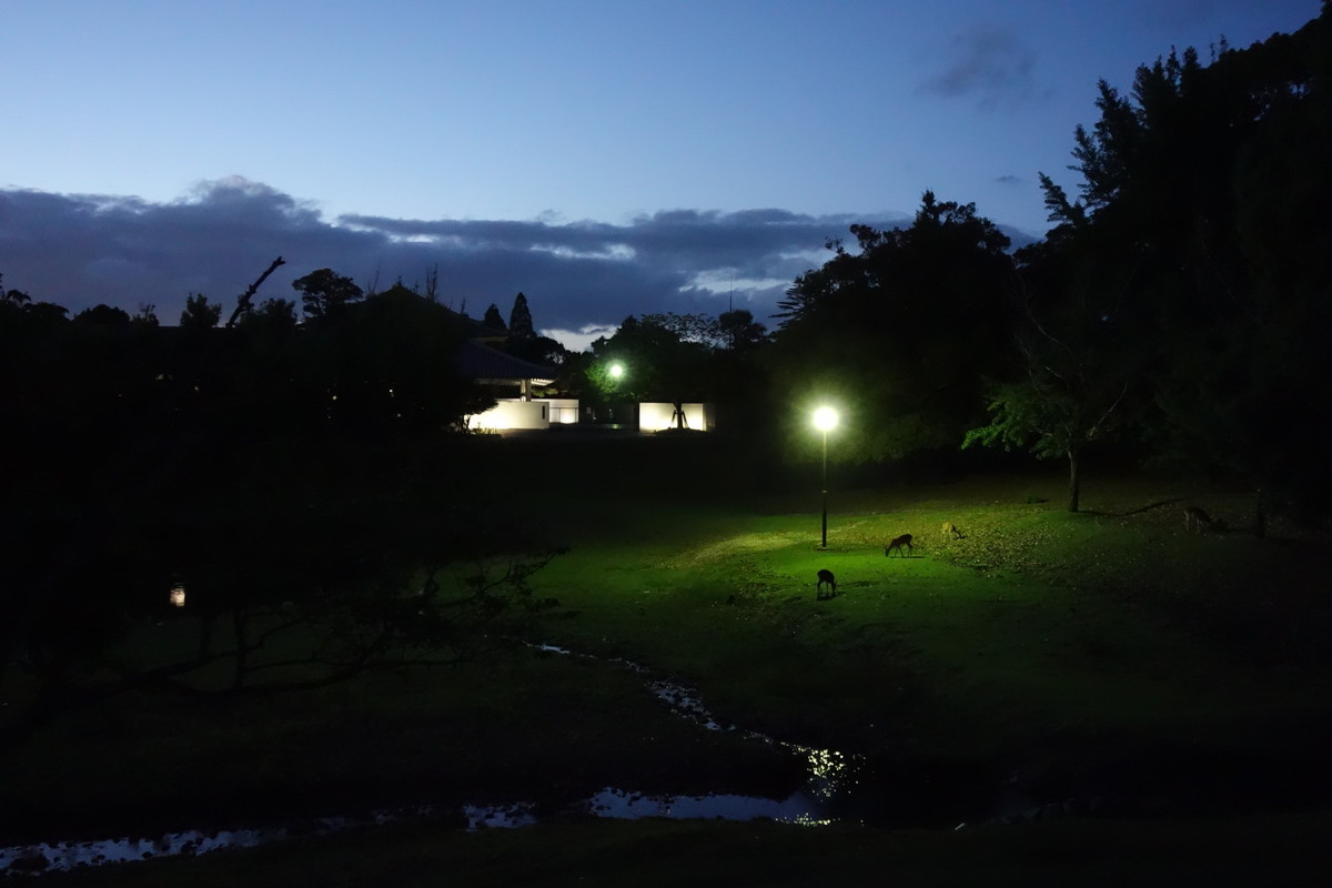 大仏蛍と奈良太郎新着情報リガーレ春日野旧 春日野荘奈良市の観光