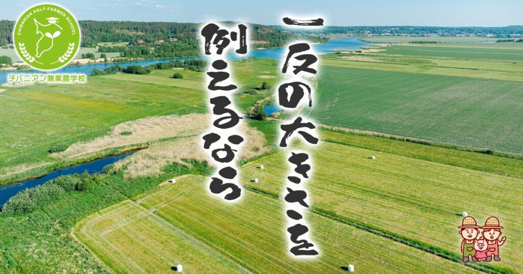 公式ブログ「問屋の仕事場から」