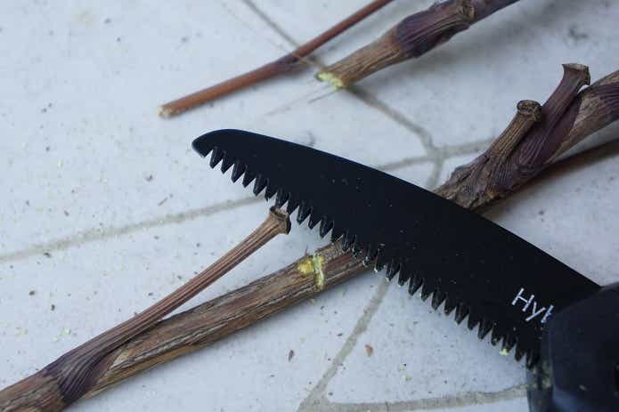 ワークマン 焚き火鋸 のこぎり 『愉し火』レビュー！ アウトドアに馴染むデザインがカッコいい！ - ハピキャンキャンプ・アウトドア情報メディア