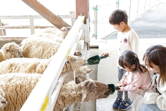 天然温泉 スパ・リフレ（S・P・A refre）の天然温泉・岩盤浴・お食事など施設情報｜スーパー銭湯情報ゆ〜ナビ