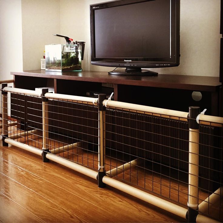 100均セレクション セリアで販売されている「紙管」の便利な使い道@DIME アットダイム