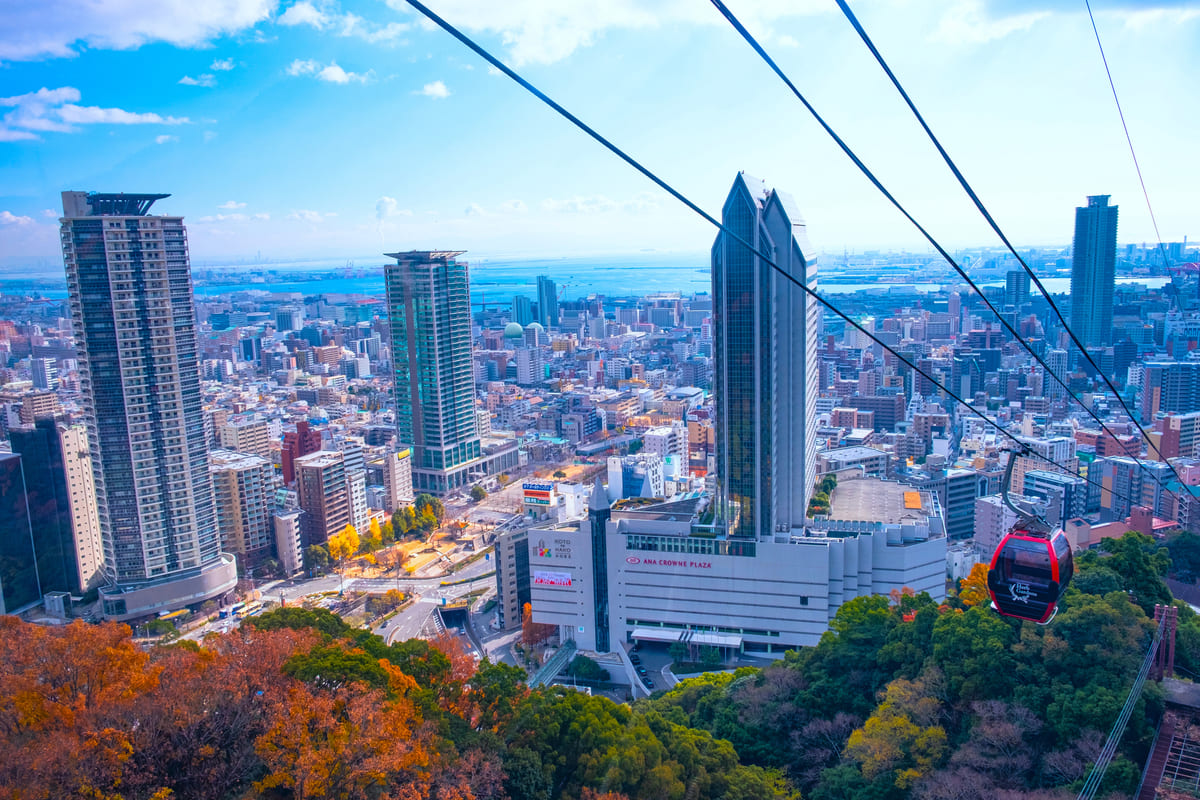 2025年最新 神戸のおすすめ観光スポット24選！神戸在住者が厳選！NEWT ニュート