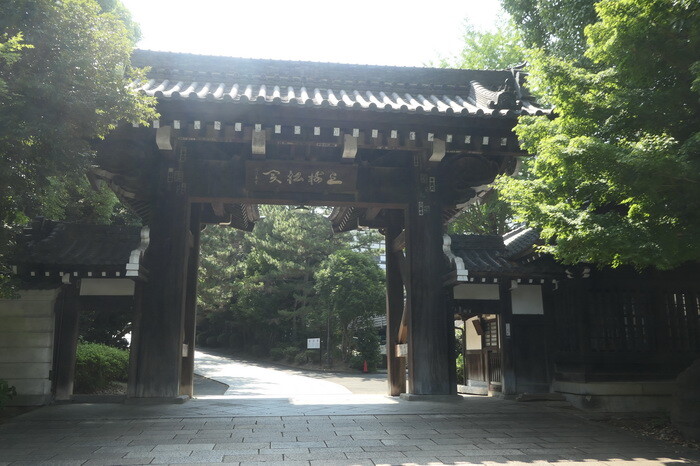 「あの日突然に」No.565_2中日ニュース