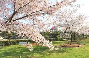 兵庫県神戸のみなさん、ありがとうございました❣️ たくさんの新しい出会いに感謝です🩷 次は高松へと出発です🌸 是非みなさん遊びに来てね❣️