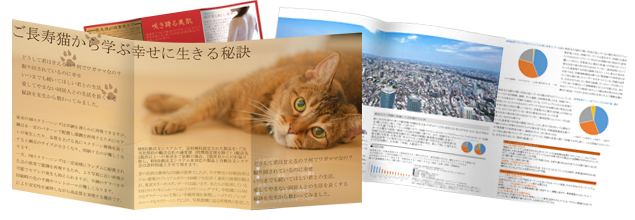 仕上りA4パンフレット 三つ折 の商品をご紹介していますウェブプレス