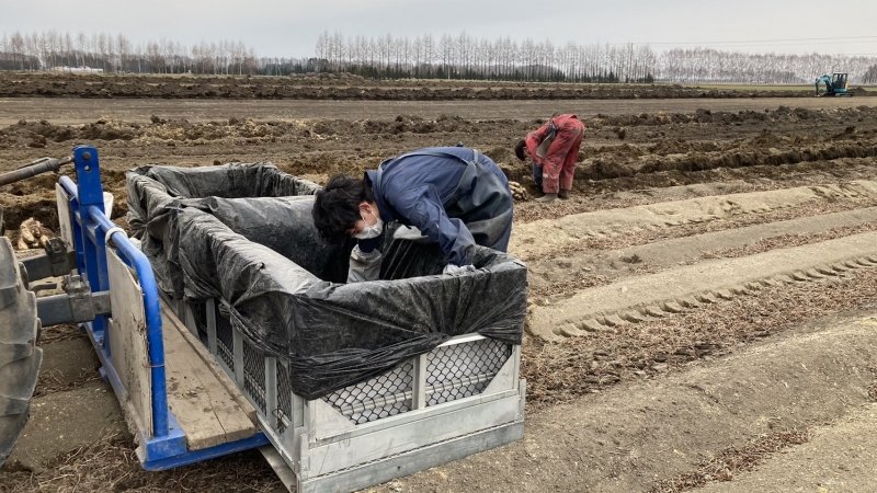 海外に学ぶスマート農業の事例5選！日本で推進する上での課題も解説