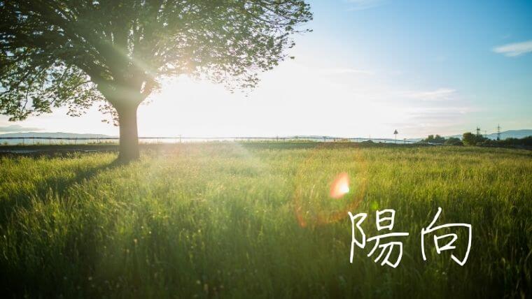 ひかり」 の意味と使える漢字例、男女赤ちゃんの人気＆珍しい名前一覧、「ひかり」の名づけに込める願いや注意点