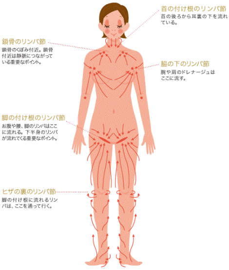 アロママッサージとは？】 - オークス鍼灸整骨院