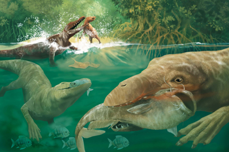 メソニクスもく」の12点のロイヤリティフリー画像、写真素材、絵Shutterstock