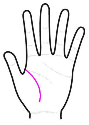 手相の見方・7大線を徹底解説！最強の手相・珍しい手相もご紹介