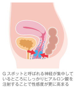 Gスポットバイブおすすめ20選 | ラブトリップ アダルトグッズ・大人のおもちゃ通販 女性中心の運営で安心