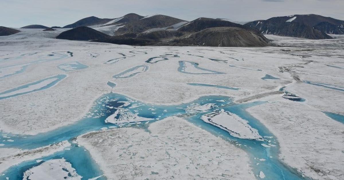 化石燃料ファイナンス報告書 2024」発表レインフォレスト・アクション・ネットワーク RAN のプレスリリース