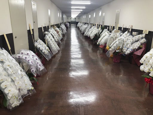 SOMPO Driveの活用で最大20％割引損保ジャパン株式会社安田商会保険代理店