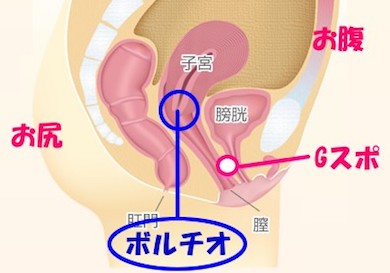 女性用性感マッサージのやり方講座！女性に悦ばれるの性感技術【保存版】 | 女性用性感マッサージ