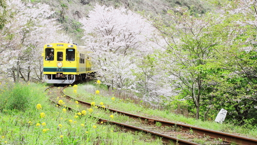 JR&私鉄 日本最長の列車とは!?ニッポン旅マガジン