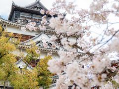 渝華園 中国庭園― 広島県広島市の庭園。庭園情報メディア おにわさん