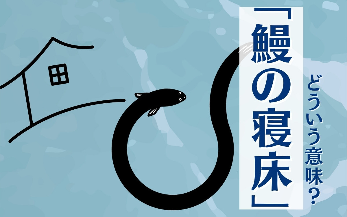 売店新商品！うなぎのぼり ウェルシーズンのスタッフによる浜松観光お役立ち情報発信メディア ウェルマガ 浜松・浜名湖周辺の温泉ならホテルウェルシーズン浜名湖 公式