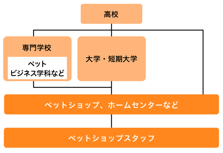 ペットショップ店員の仕事内容は？なる方法や必要資格、給料を紹介動物・海洋・ペット業界コラム