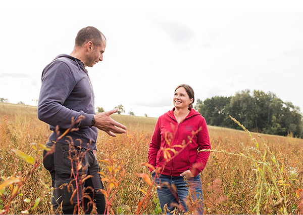 在来大豆、実は負担軽く単価高い 農業存続へ南足柄で挑戦話題カナロコ by 神奈川新聞