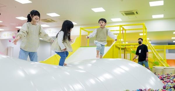 平塚市 大人も楽しめる観光 子供の遊び場・お出かけスポット(室外・屋外)