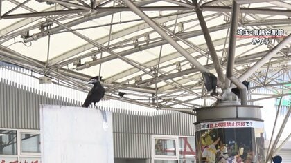 リアライズ高井田(大阪府東大阪市西堤西)の物件情報｜いい部屋ネットの大東建託リーシング