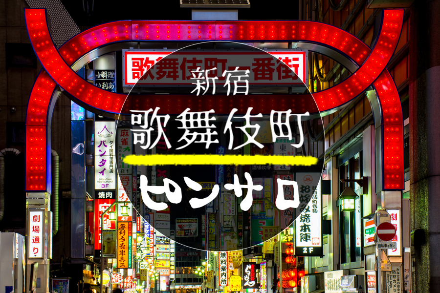 ピンサロの風俗男性求人・高収入バイト情報【俺の風】