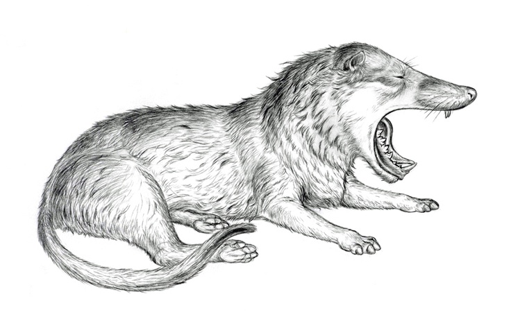 アンドリューサルクス恐竜古代生物海洋堂チョコラザウルスフィギュア