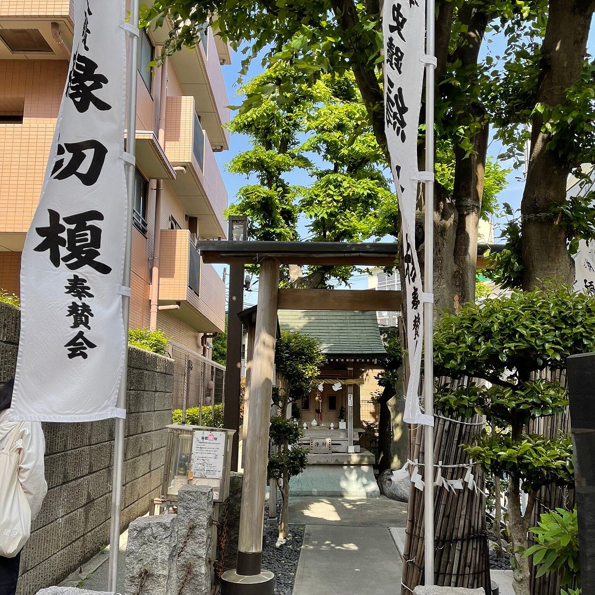 伯備線・2023初秋・１日目☆初秋の榎踏切をゆく「スーパーやくも」色を撮る鉄道風景撮りびと日誌