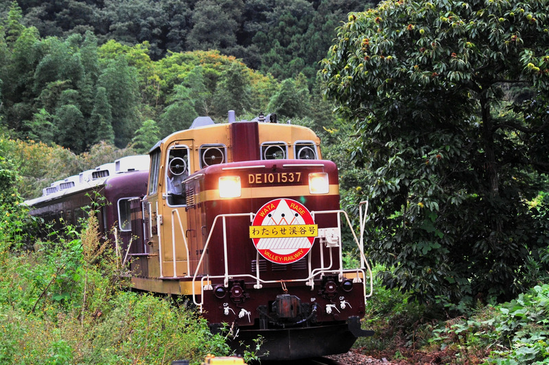 夏の渡良瀬渓谷アドベンチャー トロッコ列車、銅山観光、廃線ウォーク│特集｜Harvest Times│東急ハーヴェストクラブ -TOKYU 