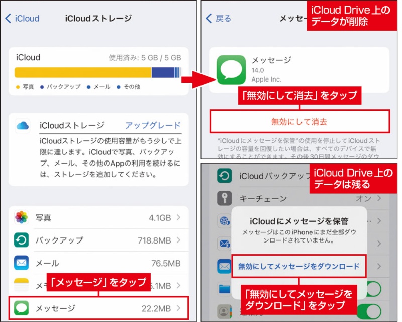 iCloud の無料アップグレード有効期限が切れる！と焦ってストレージプラン を購入する前に試すべきことbison's brain atpostachio