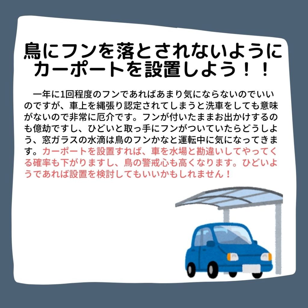 車についた鳥のフンで塗装が剥がれるって本当？掃除方法や対策についても解説カーナレッジ