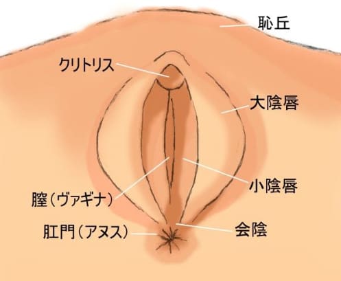 手マンの基本のき -手マン やり方|