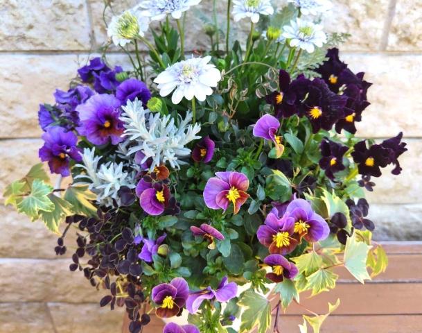 中途採用 募集要項株式会社ユニバーサル園芸社 採用情報