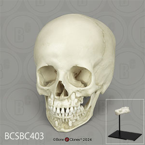 90S US古着 NASA ケネディ宇宙センターＴシャツ - メルカリ