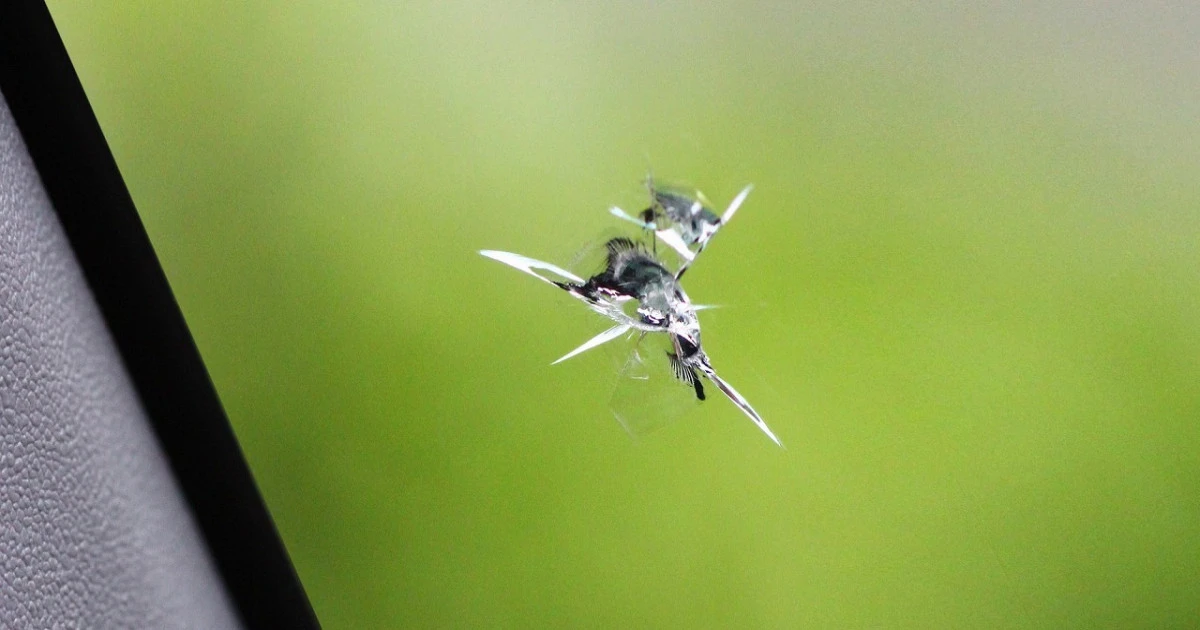 飛び石被害を受けたら？責任の所在や修理、保険利用について解説三井住友海上