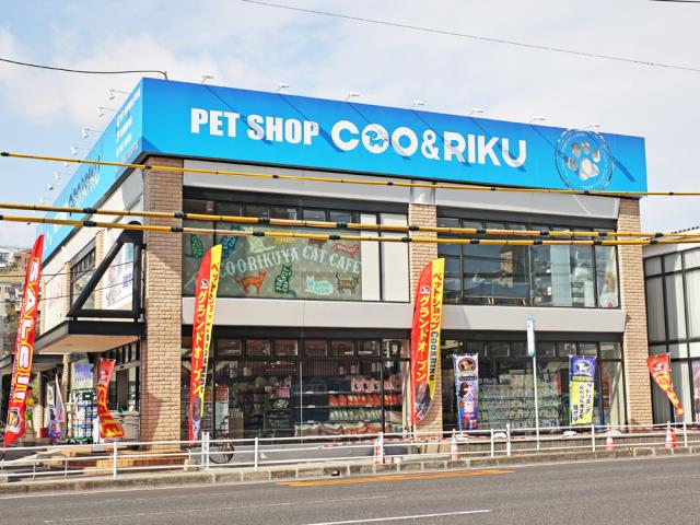 鹿児島のアダルトショップ全6店舗を徹底解説｜オナホやバイブが今すぐ買える！【2024年最新】 | 風俗部