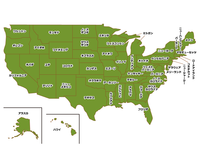 世界の料理レシピ ~ ニューヨーク編