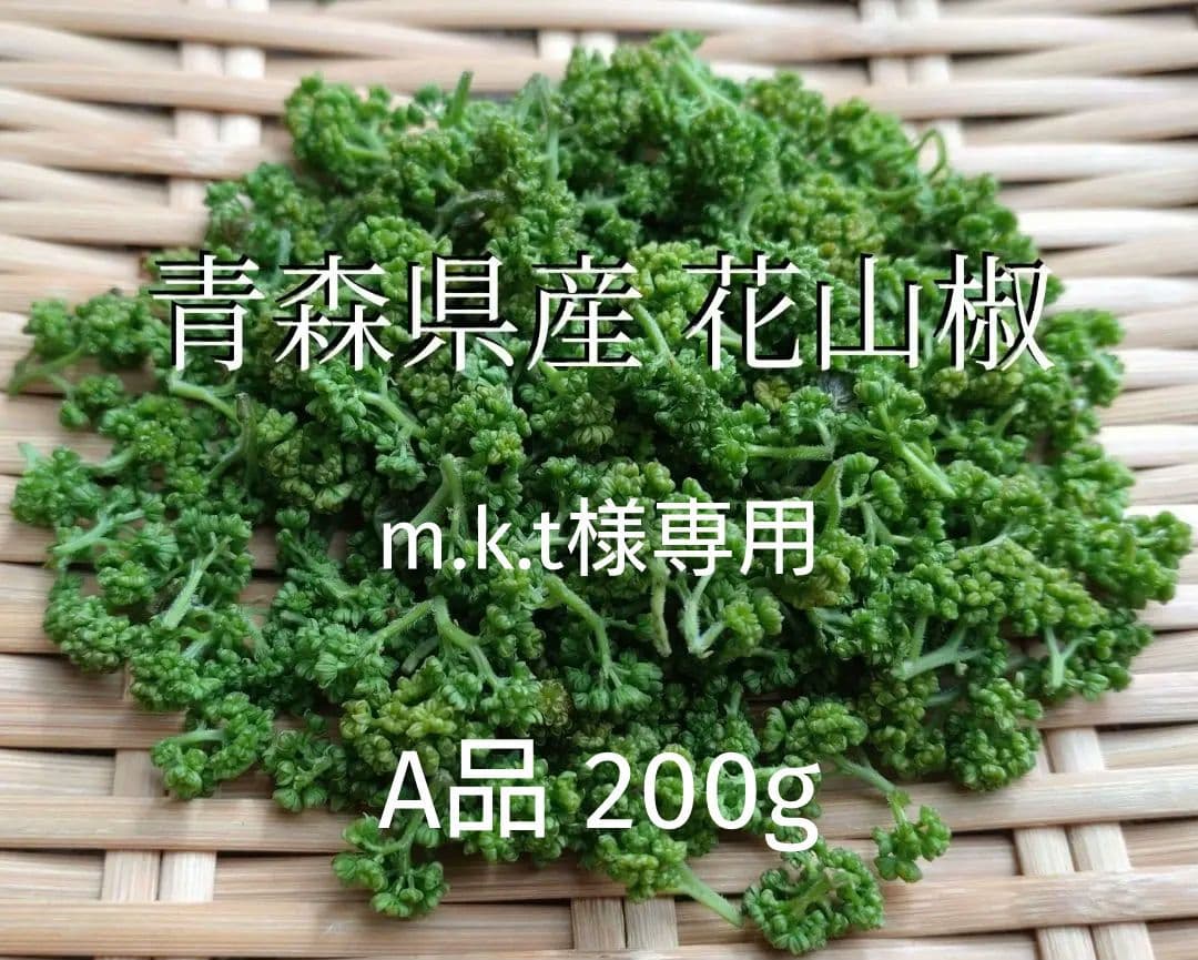 Web動画公開終了間近 公開終了一般社団法人 日本保育士協会