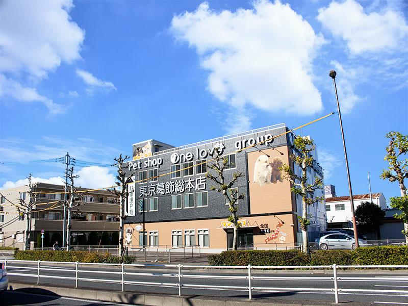 ワンラブ福岡総本店のペットショップ店舗情報/子犬・子猫一覧 | 子犬・子猫探しなら【petmi】