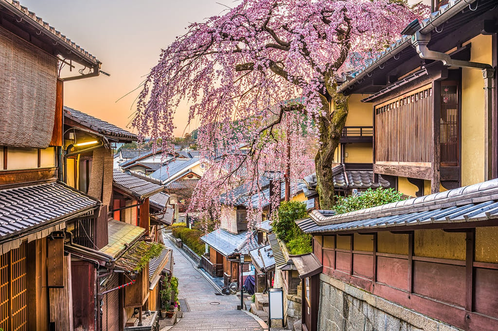 Camehameha 京都 祇園 ホテヘル デリヘル