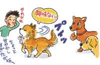 レビュー】犬が大好きな女の子は交尾も楽しんじゃう説『犬活』 - DLチャンネル みんなで作る二次元情報サイト！