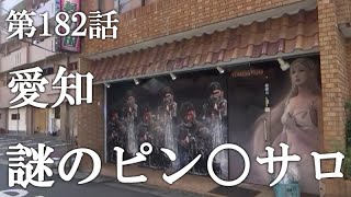 最新】安城/知立の風俗おすすめ店を全29店舗ご紹介！｜風俗じゃぱん