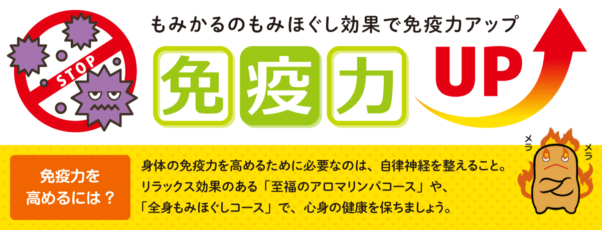 エステ・マッサージ：ブログランキング｜はまぞう｜ 静岡県西部（遠州）地域の今が分かるポータルサイト