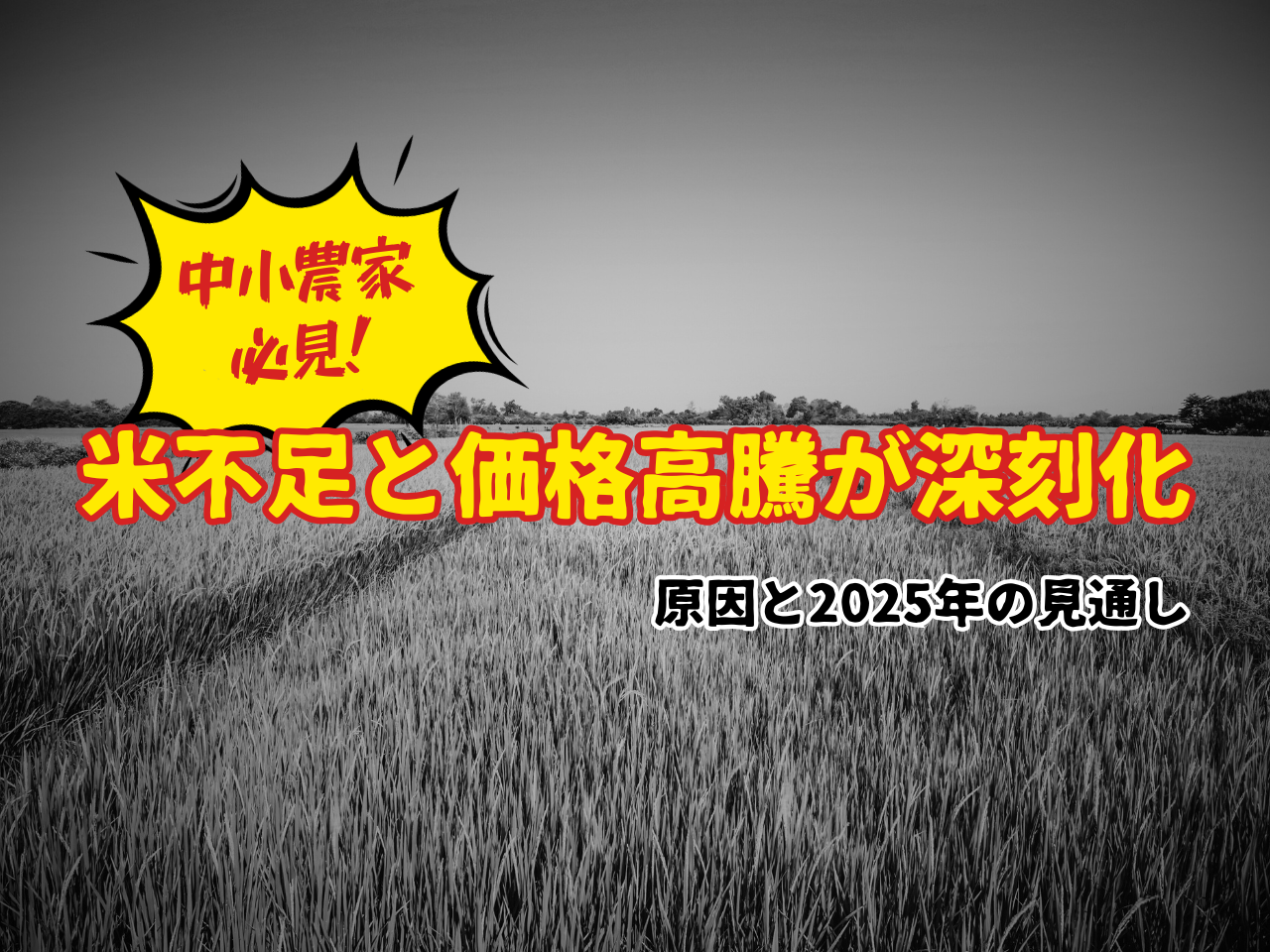 米農家はやめとけ？需要・将来性をデータとイラストで可視化してみた 市場分析 分析太郎