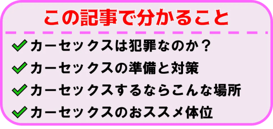 ドラゴンカーセックスとは？起源や魅力、特殊性癖の分類について解説！｜風じゃマガジン