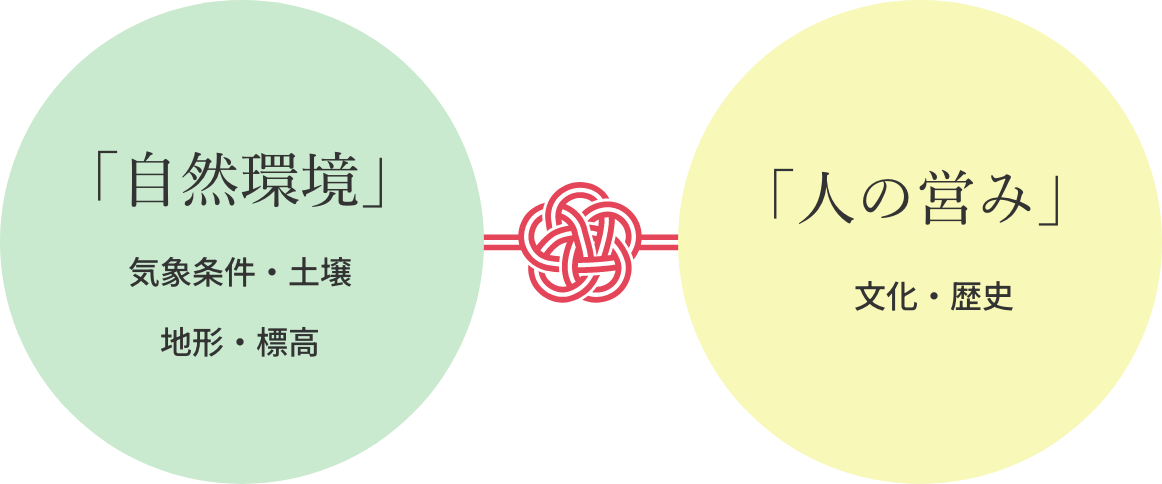 テロワールとは何？ワインの味わいを左右する周辺環境を詳しく解説◎デリッシュキッチン