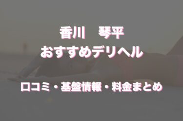 川之江駅のピンサロ情報 - 愛媛風俗Navi