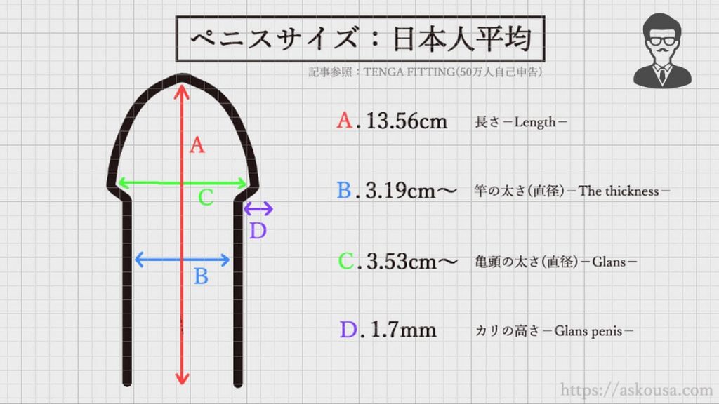 ペニスの大きさ平均は13cm！女性の理想サイズはさらにデカい！？｜薬の通販オンライン