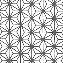 アサノハカエデAcer argutum